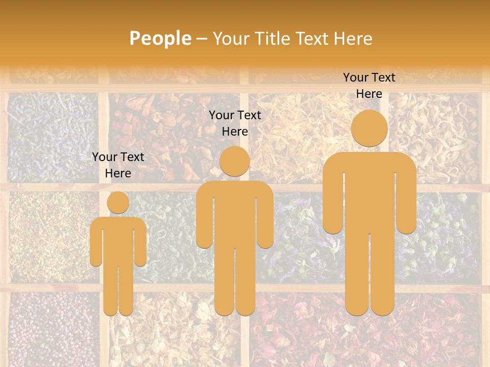 Aromatherapy Tea Rose PowerPoint Template