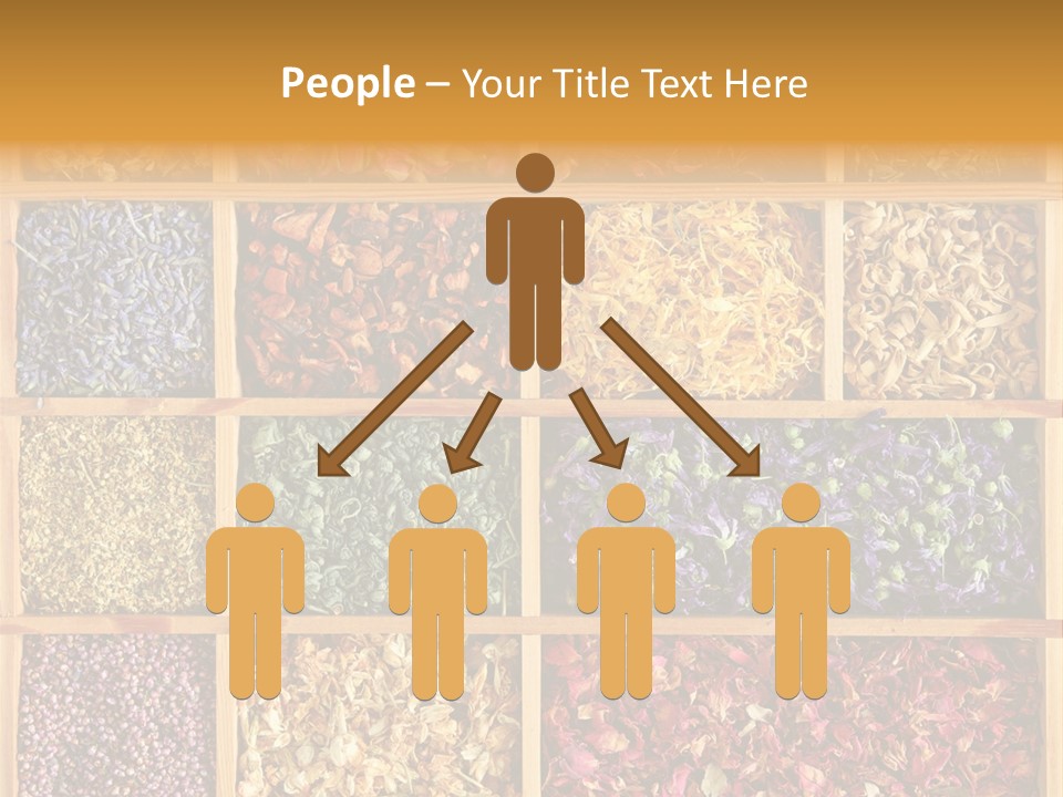 Aromatherapy Tea Rose PowerPoint Template