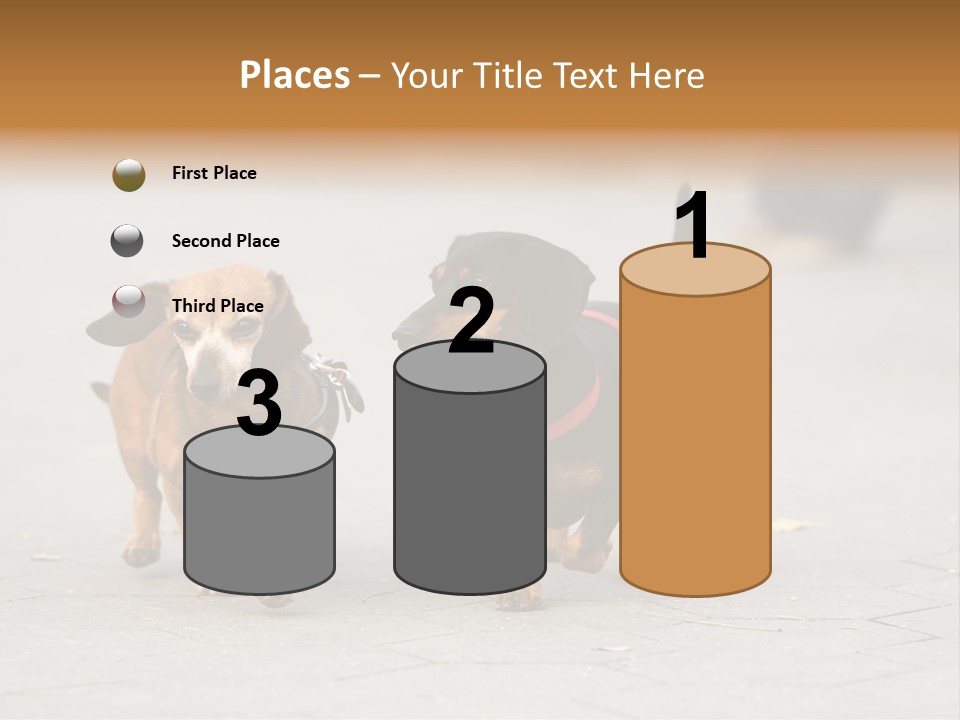 Discussion Togetherness Fun PowerPoint Template