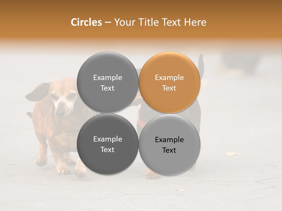 Discussion Togetherness Fun PowerPoint Template