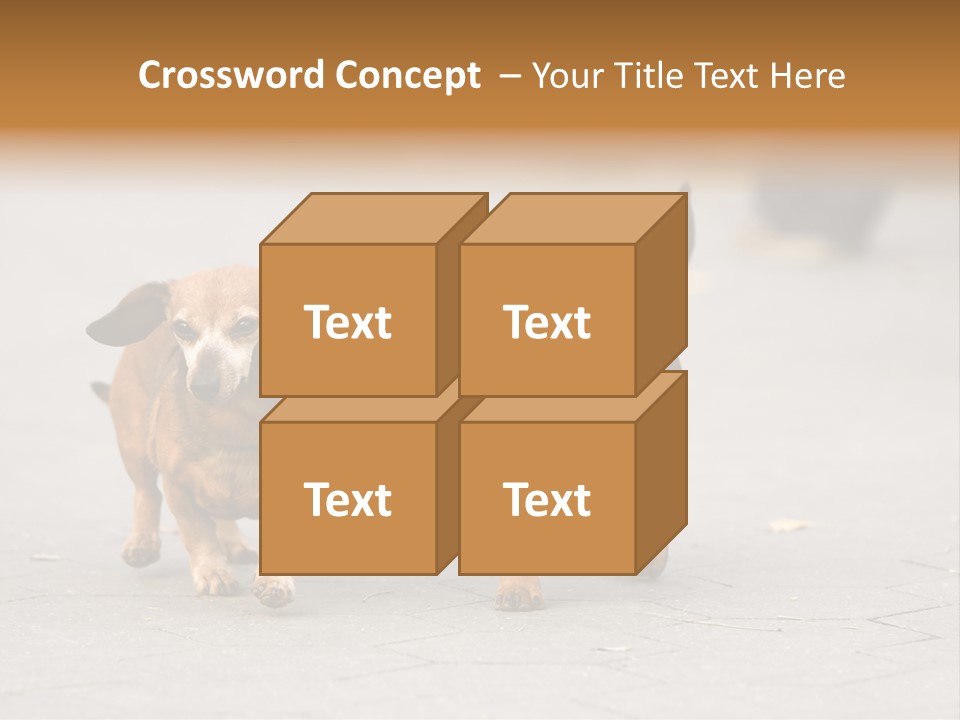 Discussion Togetherness Fun PowerPoint Template