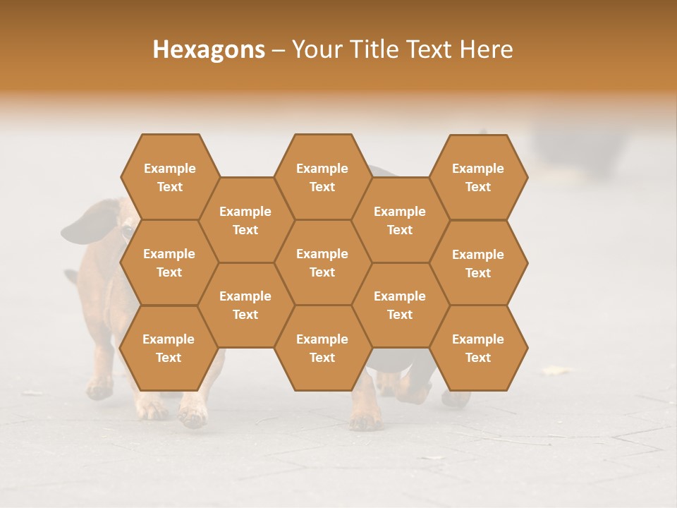 Discussion Togetherness Fun PowerPoint Template