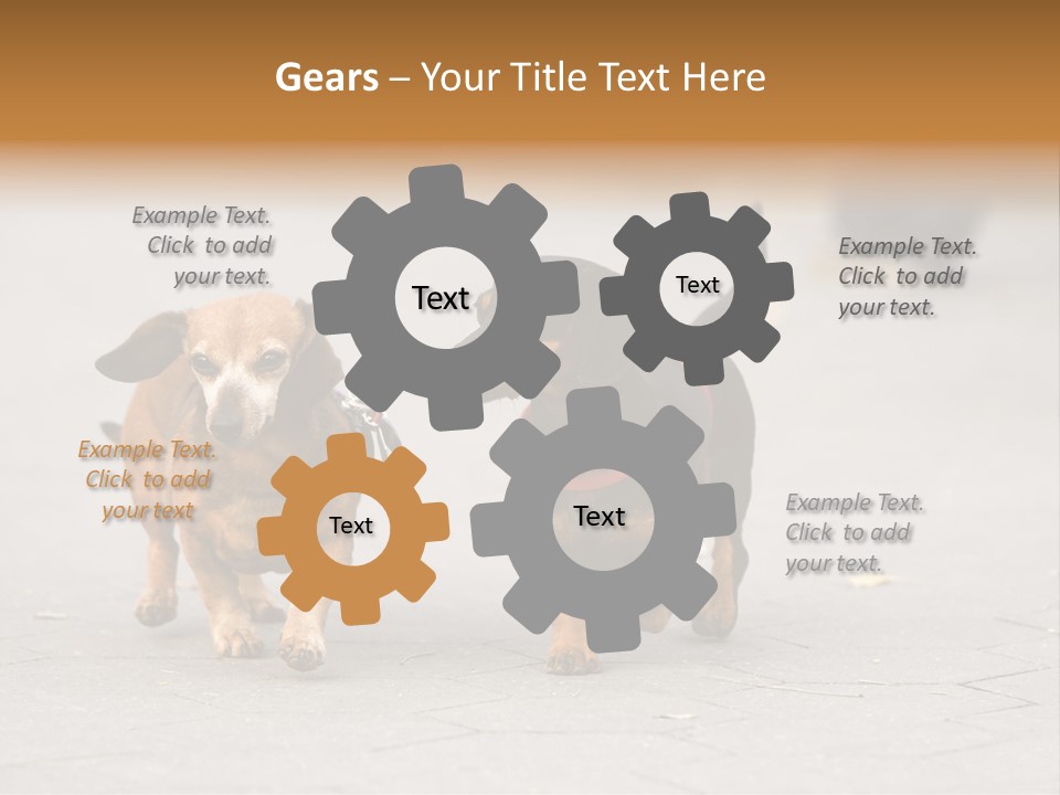 Discussion Togetherness Fun PowerPoint Template