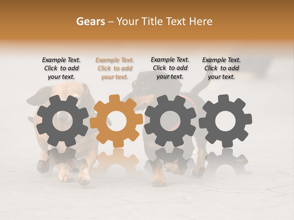 Discussion Togetherness Fun PowerPoint Template
