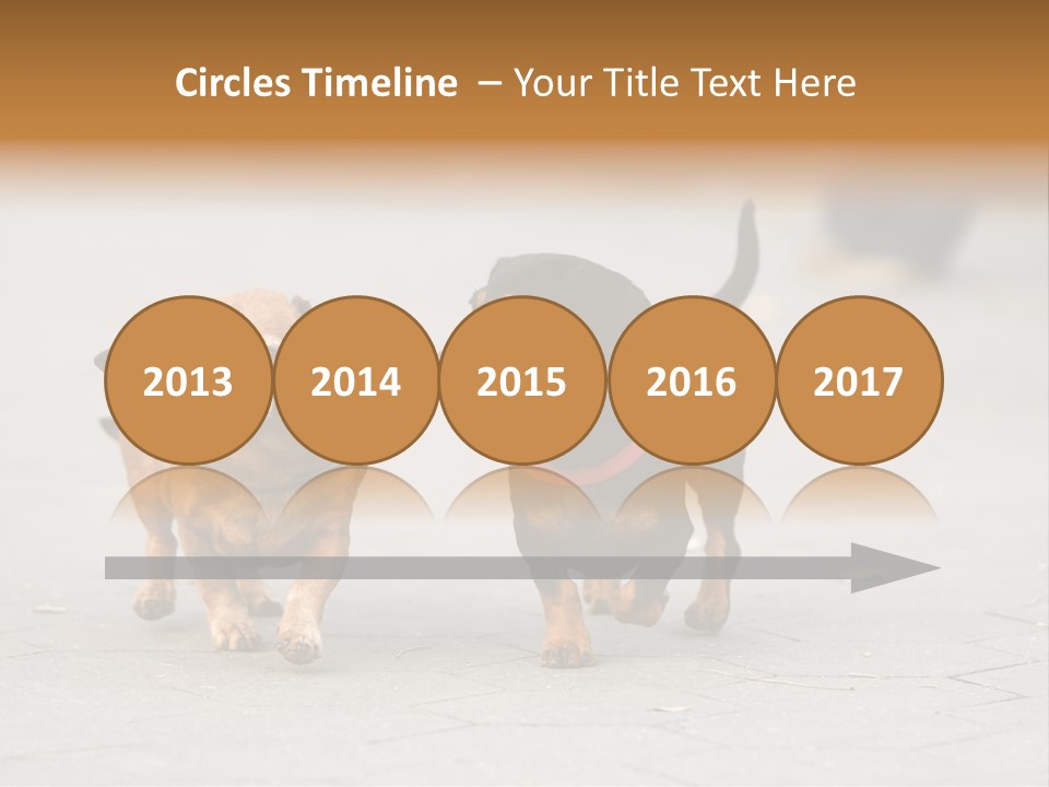 Discussion Togetherness Fun PowerPoint Template