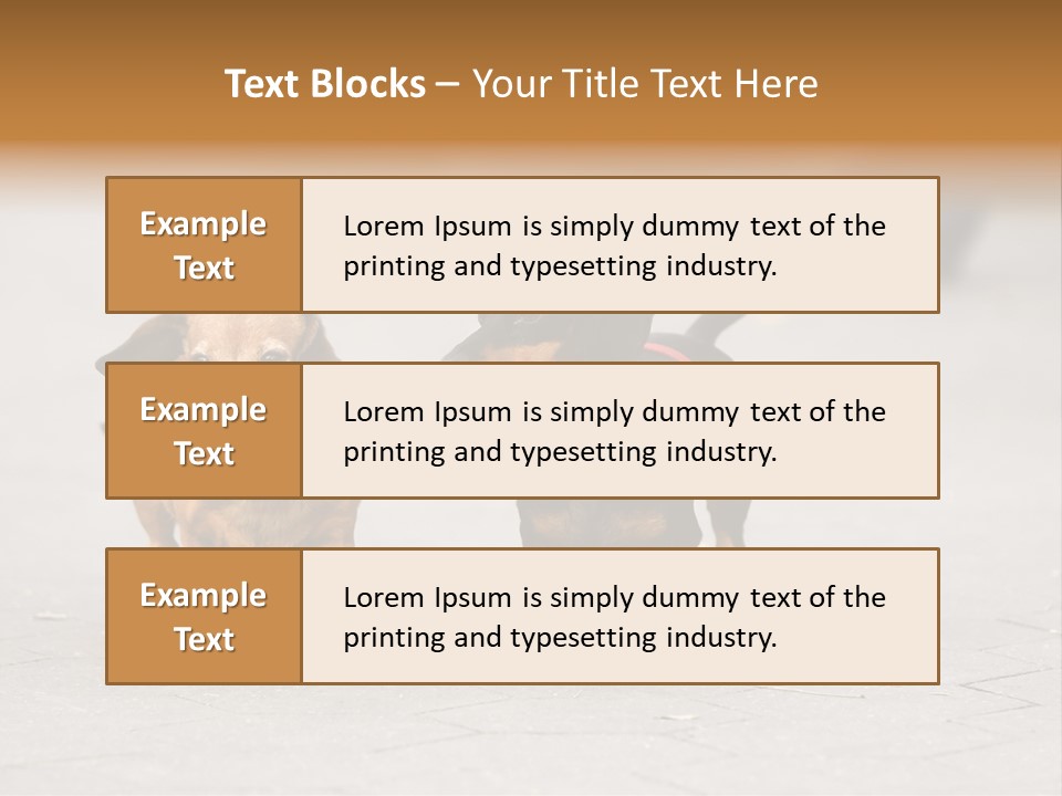 Discussion Togetherness Fun PowerPoint Template
