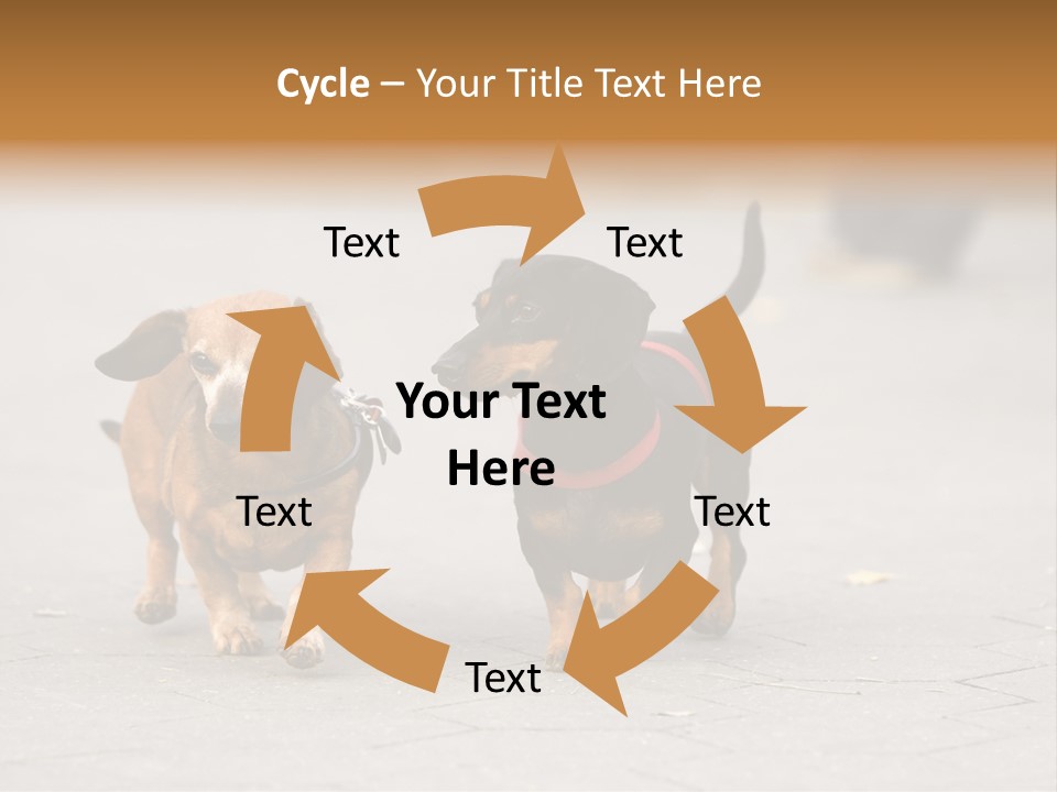 Discussion Togetherness Fun PowerPoint Template