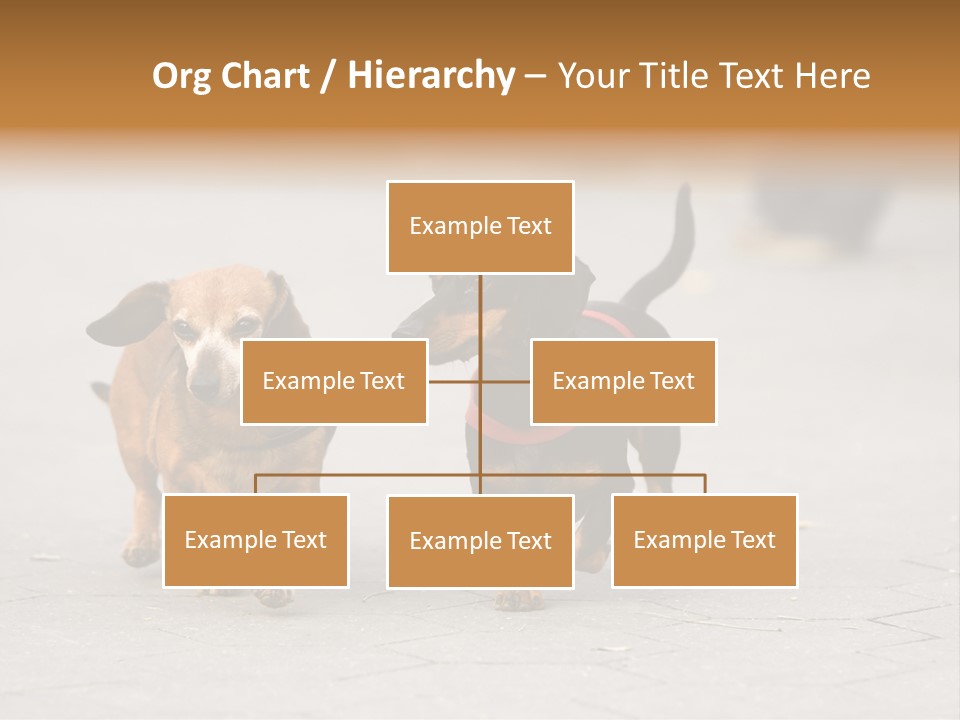 Discussion Togetherness Fun PowerPoint Template