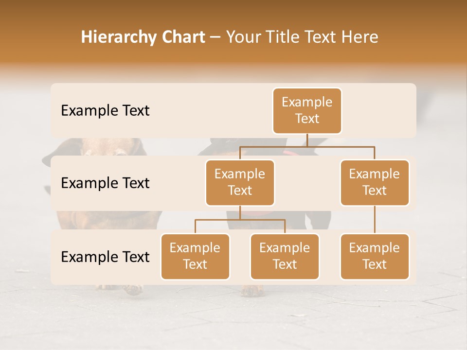 Discussion Togetherness Fun PowerPoint Template