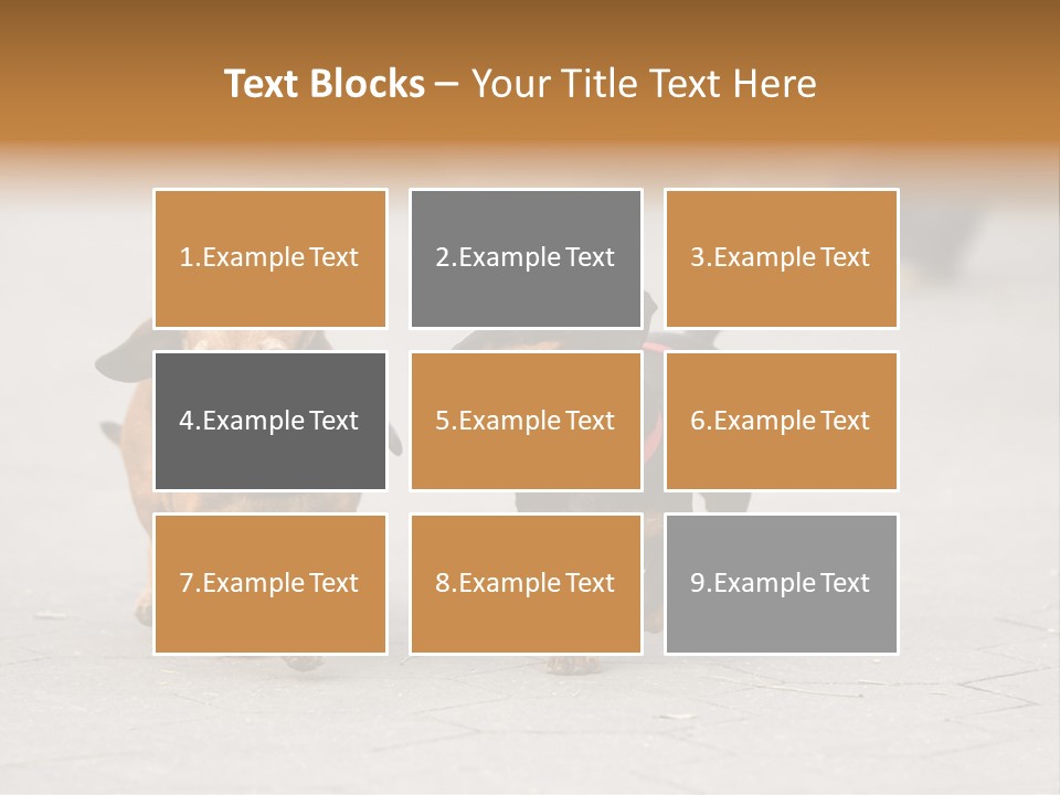 Discussion Togetherness Fun PowerPoint Template