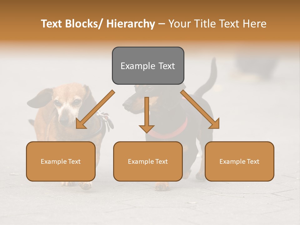 Discussion Togetherness Fun PowerPoint Template