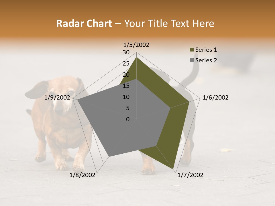Discussion Togetherness Fun PowerPoint Template