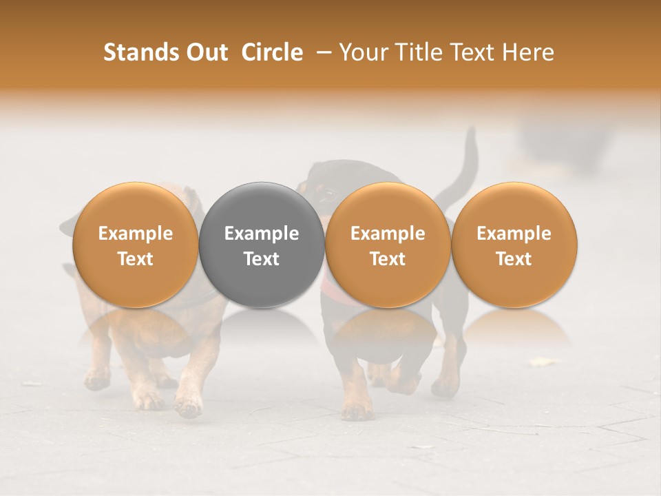 Discussion Togetherness Fun PowerPoint Template