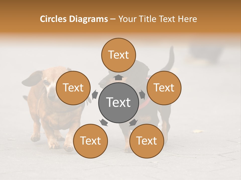 Discussion Togetherness Fun PowerPoint Template