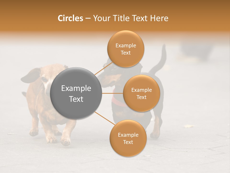 Discussion Togetherness Fun PowerPoint Template