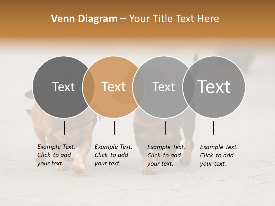 Discussion Togetherness Fun PowerPoint Template