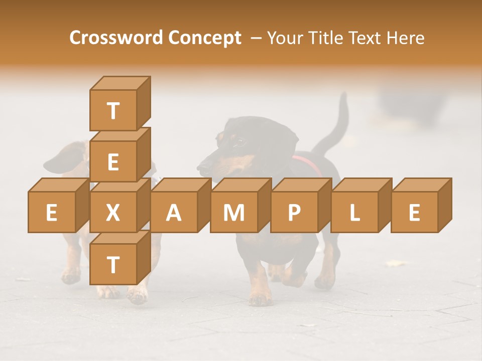 Discussion Togetherness Fun PowerPoint Template