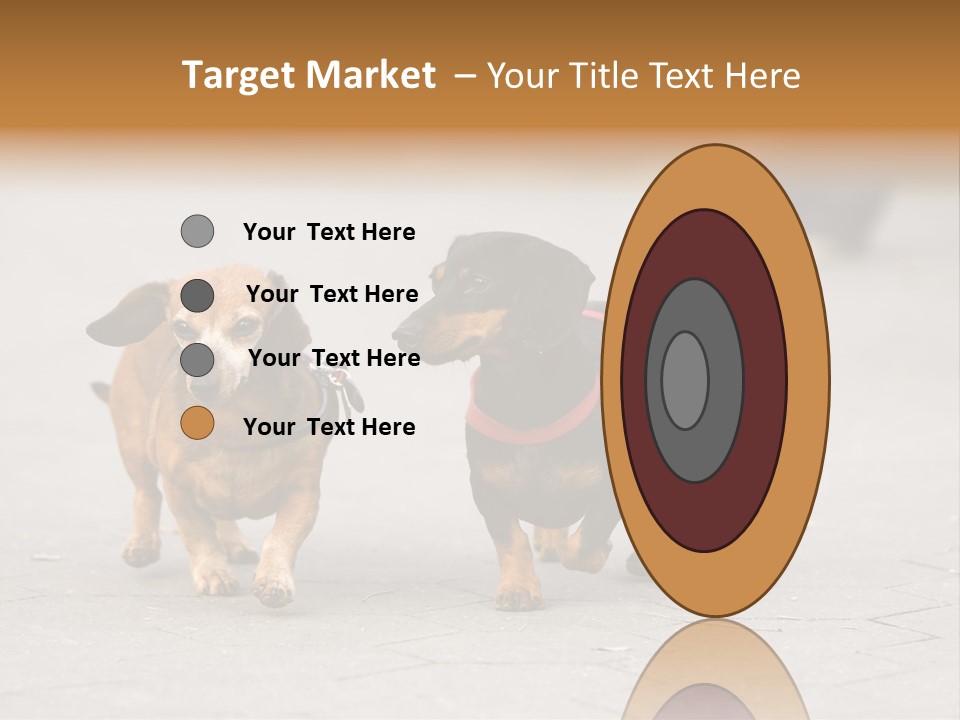 Discussion Togetherness Fun PowerPoint Template