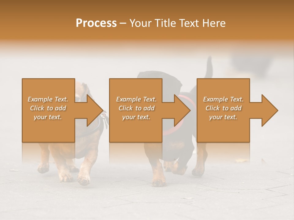 Discussion Togetherness Fun PowerPoint Template
