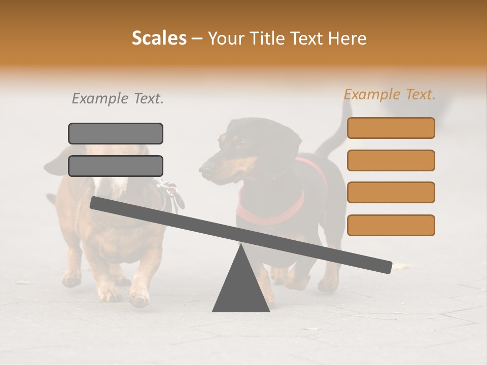 Discussion Togetherness Fun PowerPoint Template