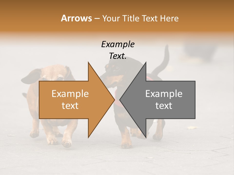 Discussion Togetherness Fun PowerPoint Template