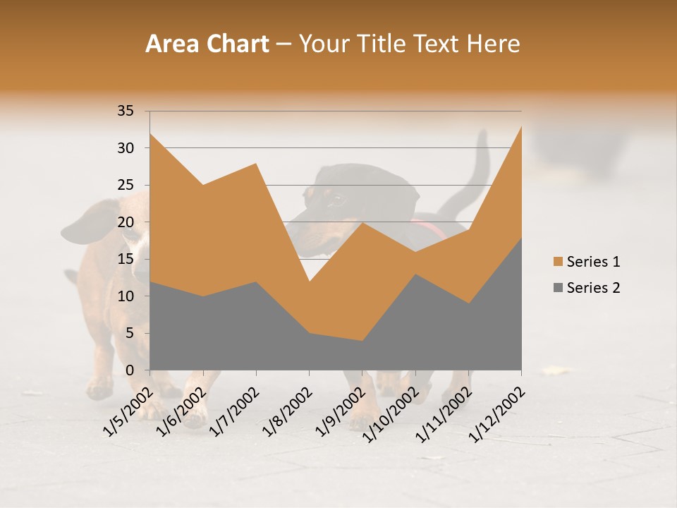 Discussion Togetherness Fun PowerPoint Template