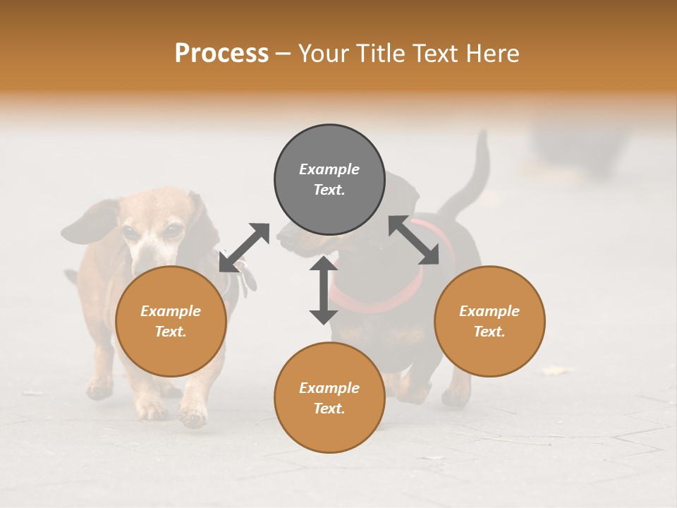 Discussion Togetherness Fun PowerPoint Template