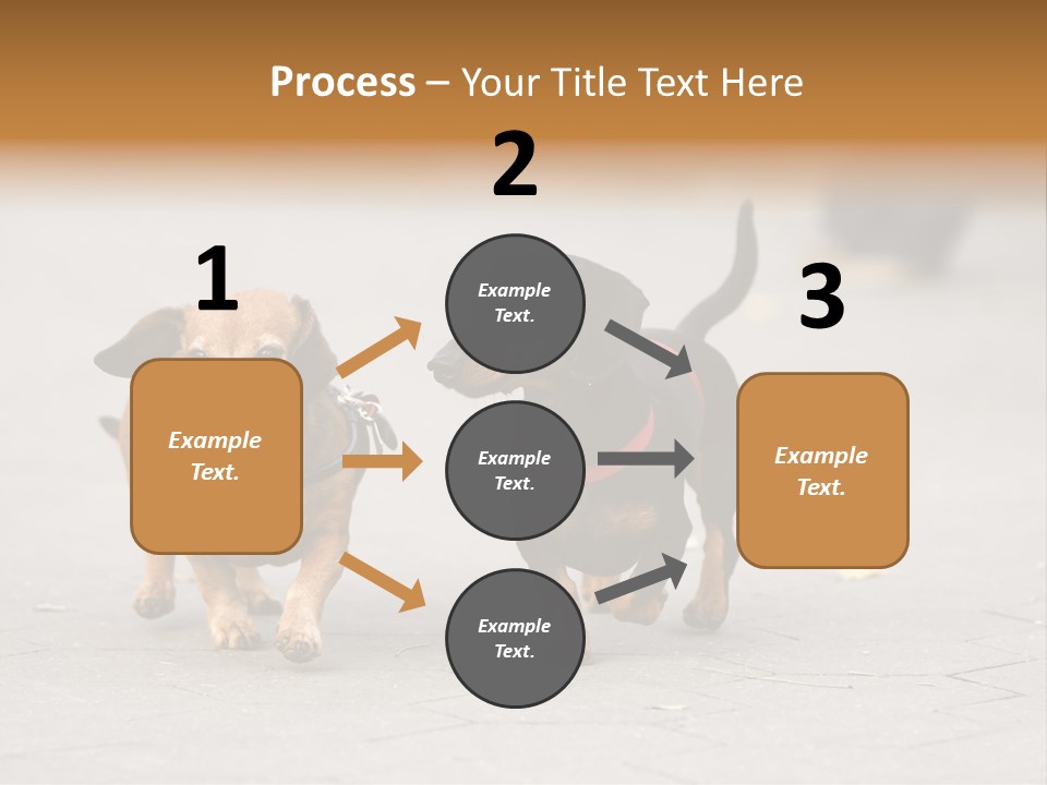 Discussion Togetherness Fun PowerPoint Template