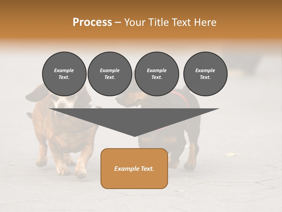 Discussion Togetherness Fun PowerPoint Template