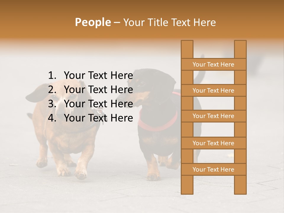 Discussion Togetherness Fun PowerPoint Template