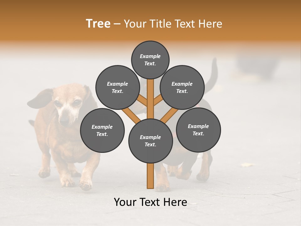 Discussion Togetherness Fun PowerPoint Template