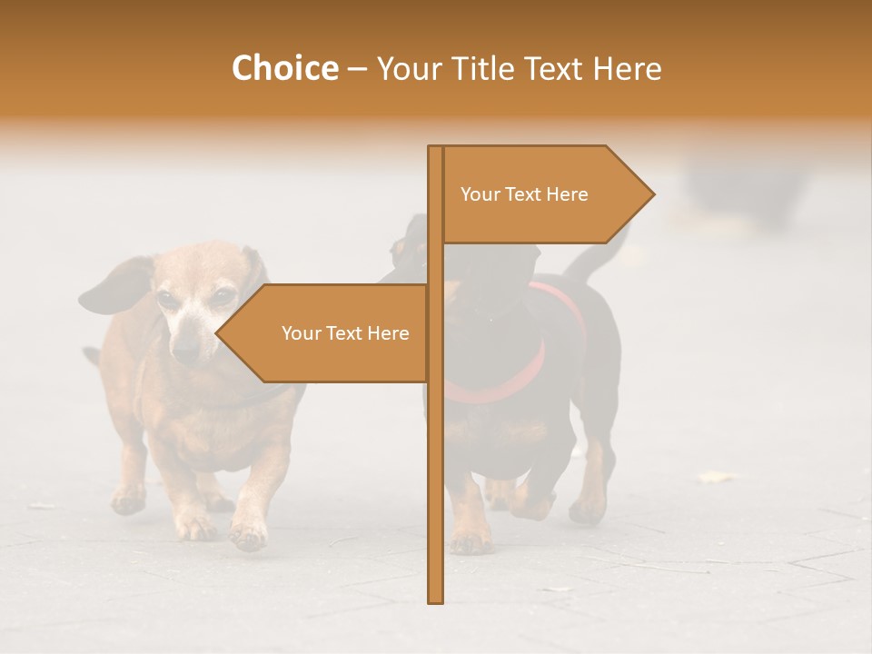 Discussion Togetherness Fun PowerPoint Template