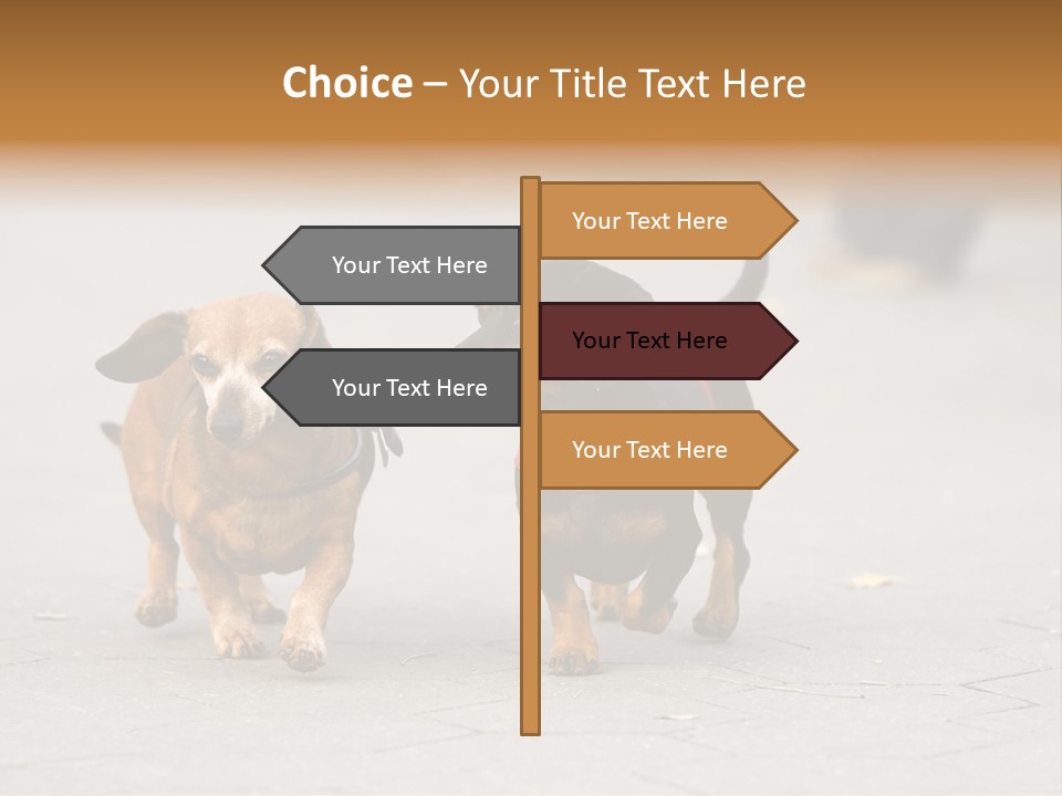 Discussion Togetherness Fun PowerPoint Template