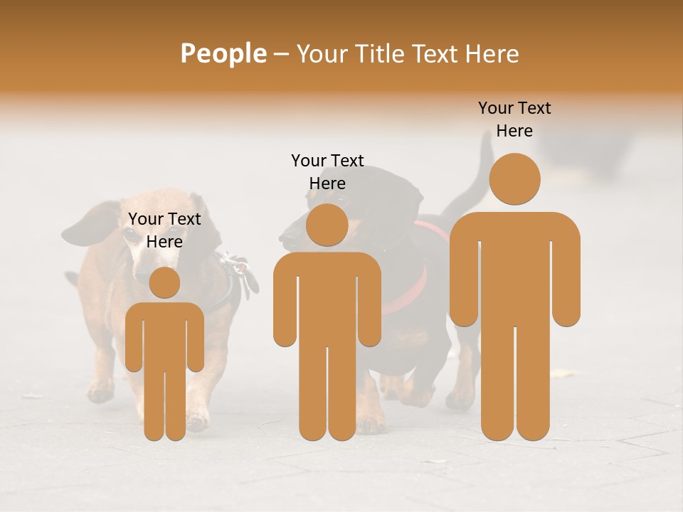 Discussion Togetherness Fun PowerPoint Template