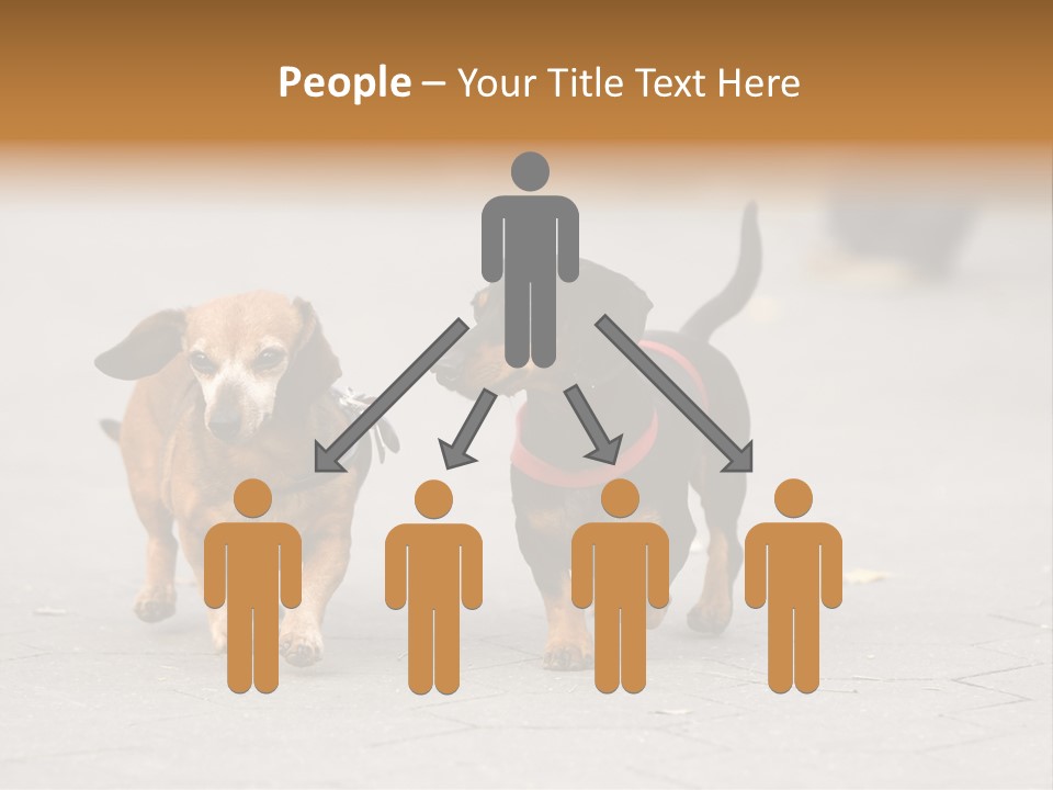 Discussion Togetherness Fun PowerPoint Template