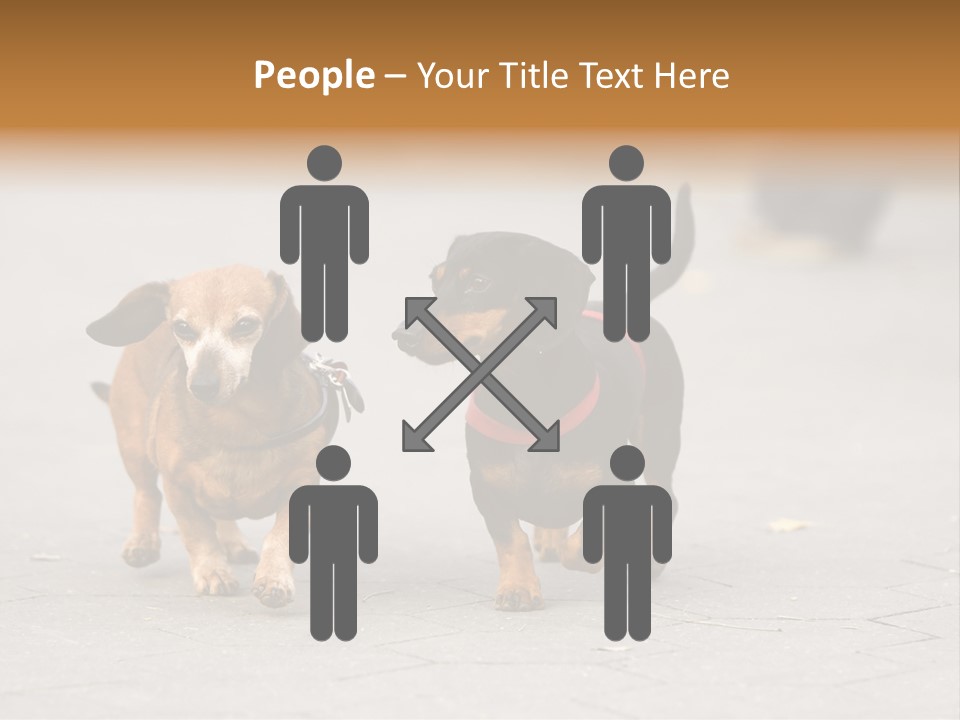 Discussion Togetherness Fun PowerPoint Template