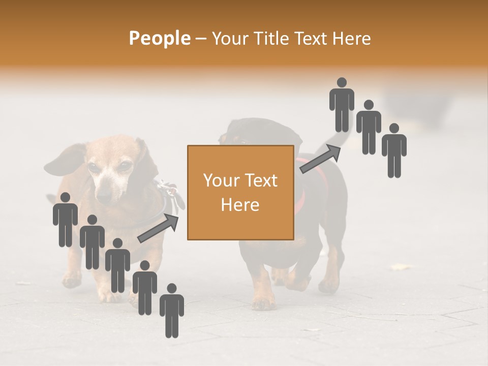 Discussion Togetherness Fun PowerPoint Template