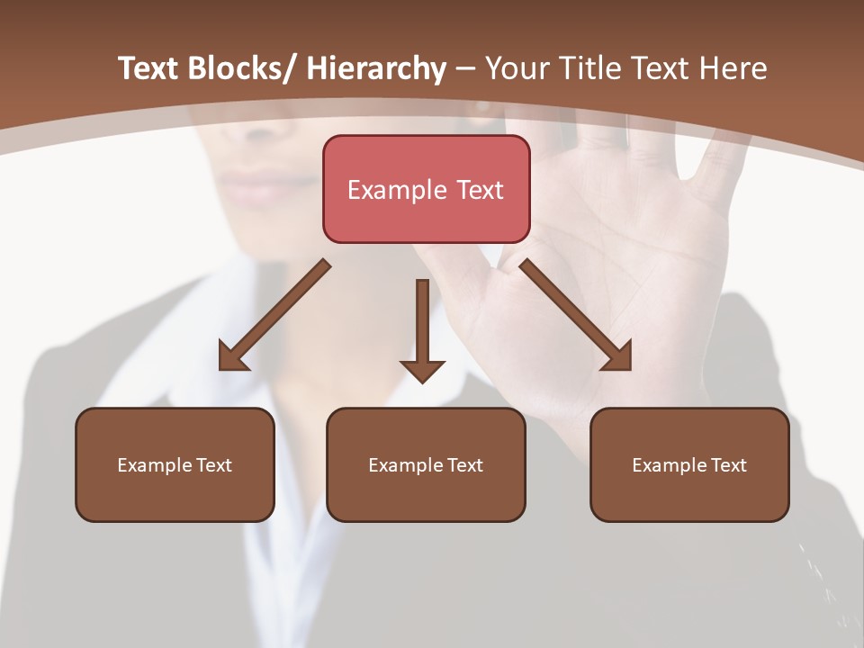 Simple Loo Toiletpaper PowerPoint Template