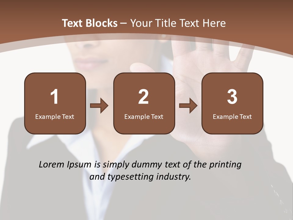 Simple Loo Toiletpaper PowerPoint Template