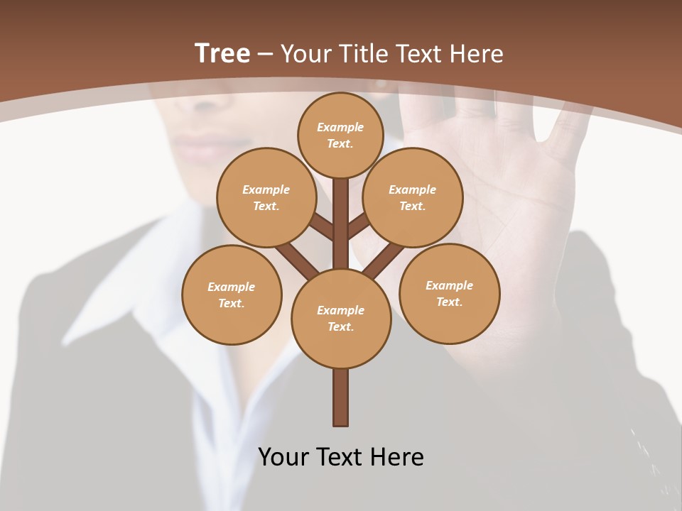 Simple Loo Toiletpaper PowerPoint Template