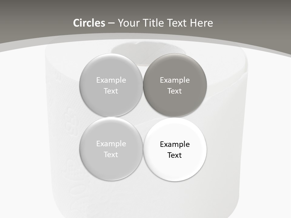 Simple Loo Toiletpaper PowerPoint Template