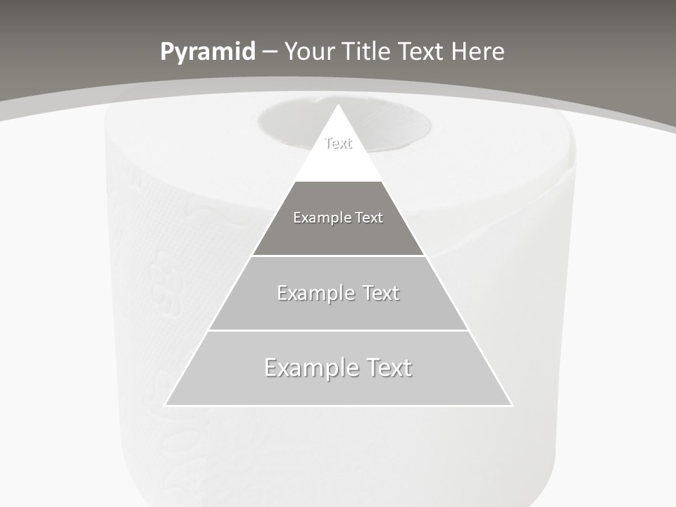 Simple Loo Toiletpaper PowerPoint Template