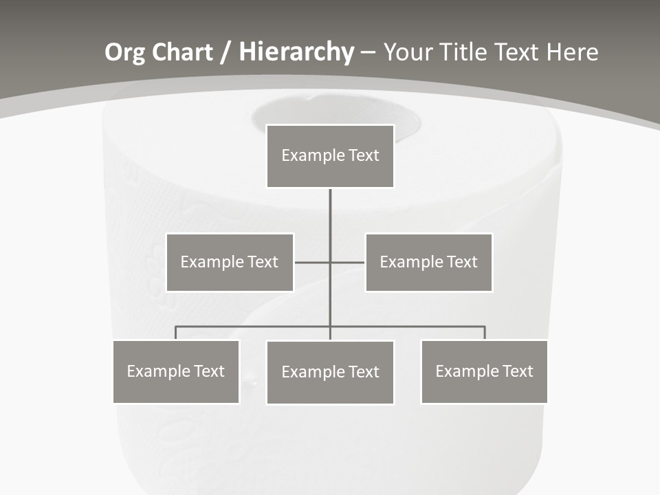 Simple Loo Toiletpaper PowerPoint Template
