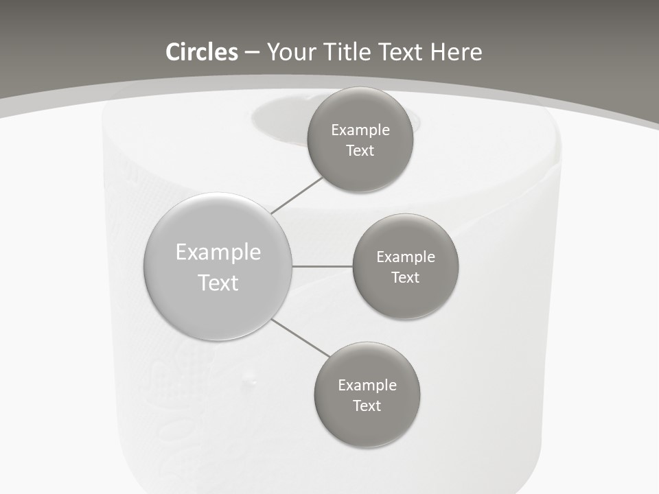 Simple Loo Toiletpaper PowerPoint Template