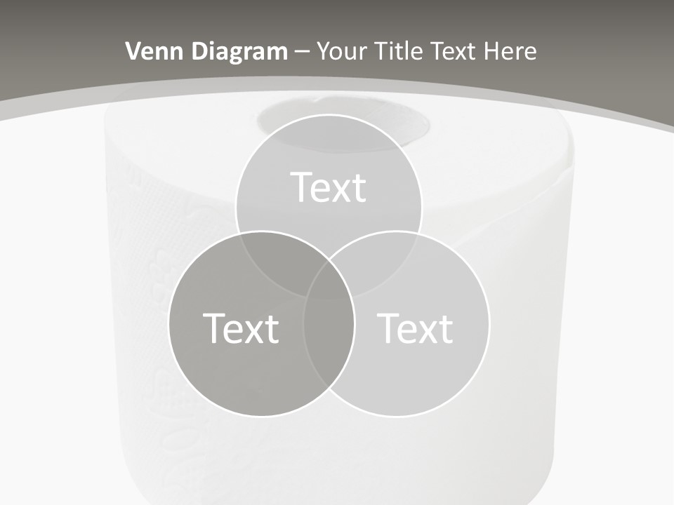 Simple Loo Toiletpaper PowerPoint Template