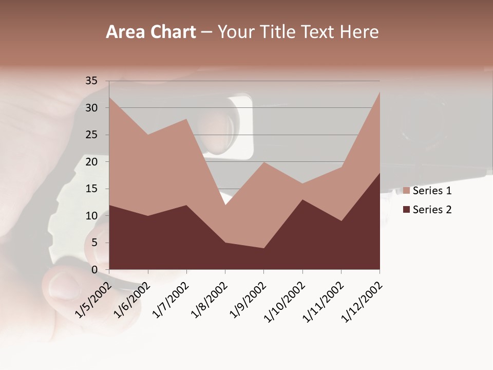Weapon Enforcement Control PowerPoint Template