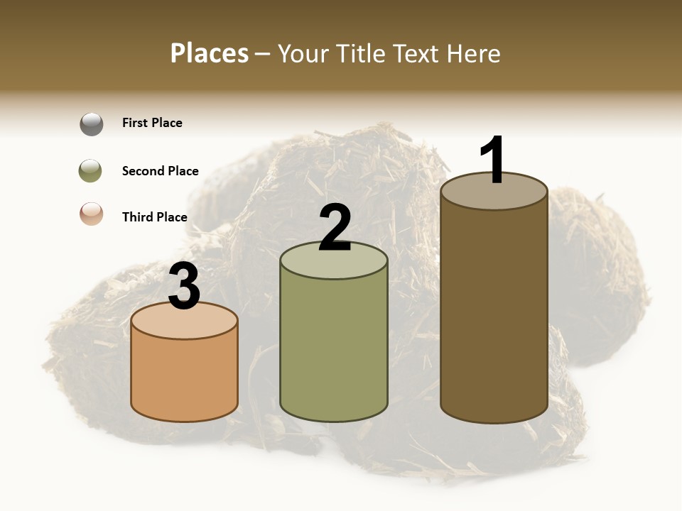 Safe Pack Architecture PowerPoint Template