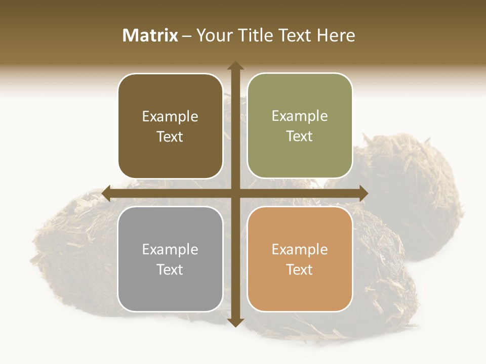 Safe Pack Architecture PowerPoint Template