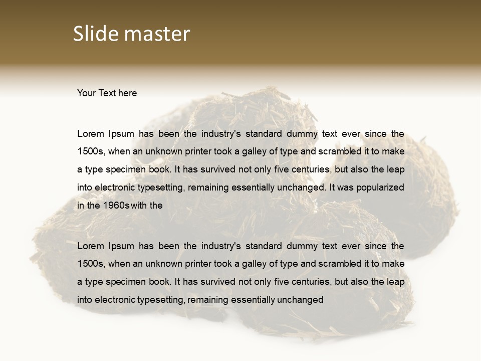 Safe Pack Architecture PowerPoint Template