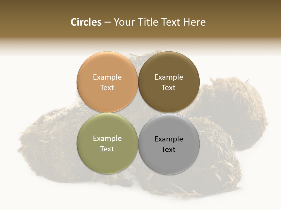 Safe Pack Architecture PowerPoint Template